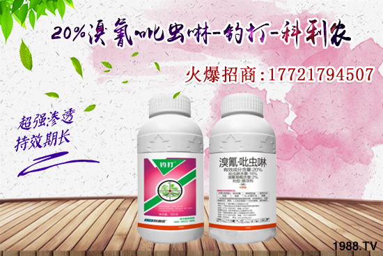 �������x���l(f��)̫���������x��ô��Ч���������x���η�������Щ��