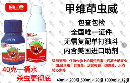 ����Ʒ�r(n��ng)ˎ�������¼Z�}(c��ng)����(r��n)��������ô�ӣ����x(ch��ng)���a(ch��n)Ʒ����Щ��