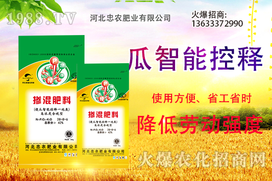 �������������Щ������ʵ�ʹ�÷�����ԓ����xُ(g��u)��