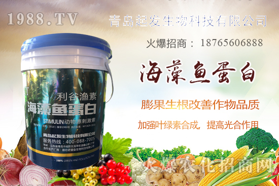 �߲˶�ֲ��ξ�������߲������`�^(q��)����Щ���߲�������������]��