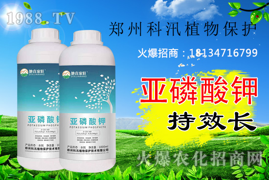 ������⛹�Ч�������C(j��)������Щ������������õĺ���᣿