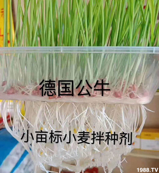 С����N�����a(ch��n)��С����N������x����С����N��Ʒ���x����