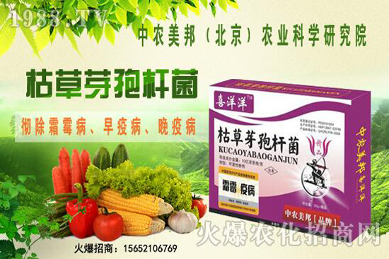 �ݲ�ѿ�ߗU���θ���������������Щ�������������Ό�������Щ��