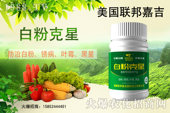 �׷۲���(qi��ng)��(sh��)���u������(f��)�l(f��)������β���ô������׷۲������]��