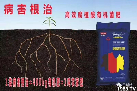     ���׌�Nֲ׃�ø��p����һ��(g��)�ײ���ȫ���䷽����˹�ش󽪠I�B(y��ng)�ײͷ�����