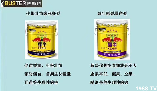     ���׌�Nֲ׃�ø��p����һ��(g��)�ײ���ȫ���䷽����˹�ش󽪠I�B(y��ng)�ײͷ�����