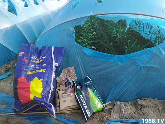     ���׌�Nֲ׃�ø��p����һ��(g��)�ײ���ȫ���䷽����˹�ش󽪠I�B(y��ng)�ײͷ�����