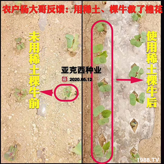     ���׌�Nֲ׃�ø��p����һ��(g��)�ײ���ȫ���䷽����˹�ش󽪠I�B(y��ng)�ײͷ�����