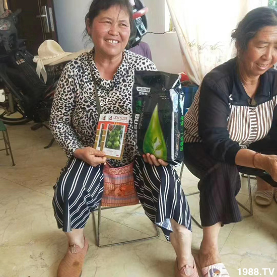     ���׌�Nֲ׃�ø��p����һ��(g��)�ײ���ȫ���䷽����˹�ش󽪠I�B(y��ng)�ײͷ�����