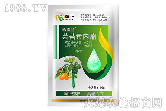 �|̦�؃�(n��i)����ʲô��(y��u)�����|̦�؃�(n��i)����(f��)�䷽������Щ��