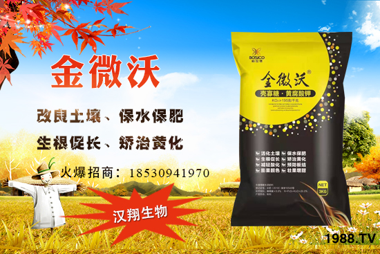 ����ͥԺ���ԷN���ц�������ʲô�r(sh��)��N����ô�Nֲ��