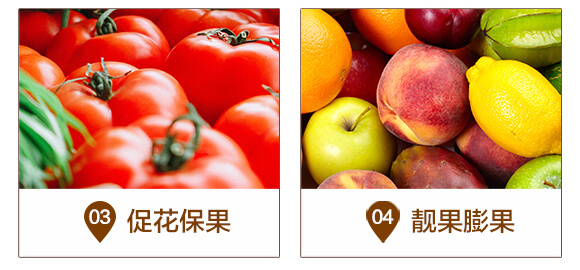 ����t�-�ͺ�΢�������-�A�I_05