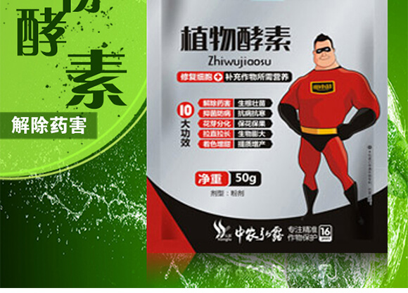 ����ֲ�����-��С��_02