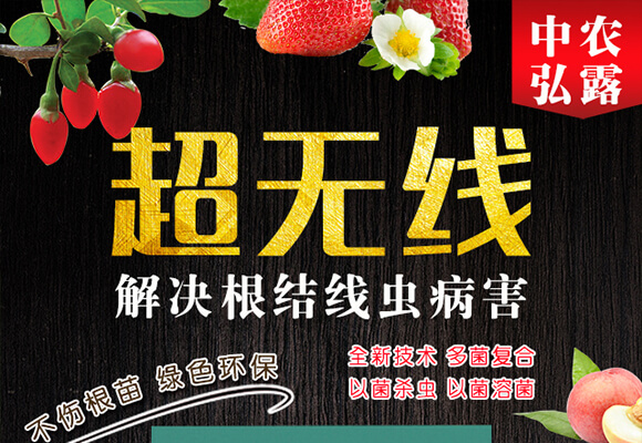 ���Y���xˎ�������-���o��-��С��_01