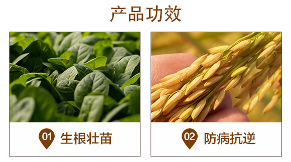 ����t�-�ͺ�΢�������-�A�I_04