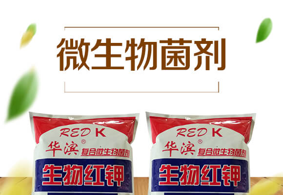 ����t�-�ͺ�΢�������-�A�I_01