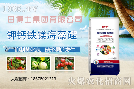 Խ�ķ��ѻ��ι����a(ch��n)���ϲ�ȥ�����η��ѻ��ι����@ЩҪ�I��������