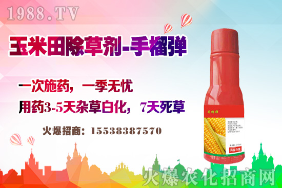 ������������v�������׳��݄��@�Ӵ������L�s�ݲ�������