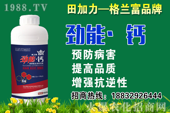 2020���}��ʲô�r��N�����}���NֲҪע����Щ���}��