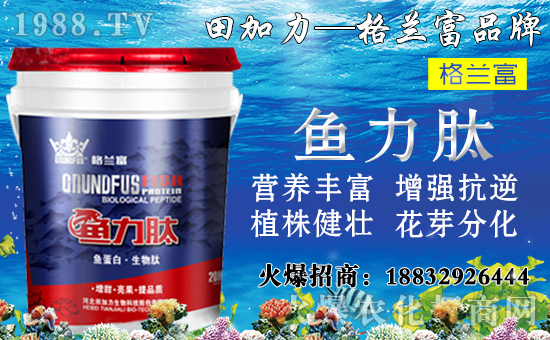 ����(sh��)��(du��)�B(y��ng)���������c(di��n)����Щ������(sh��)ʩ���`�^(q��)�����_ʩ�ʷ�����