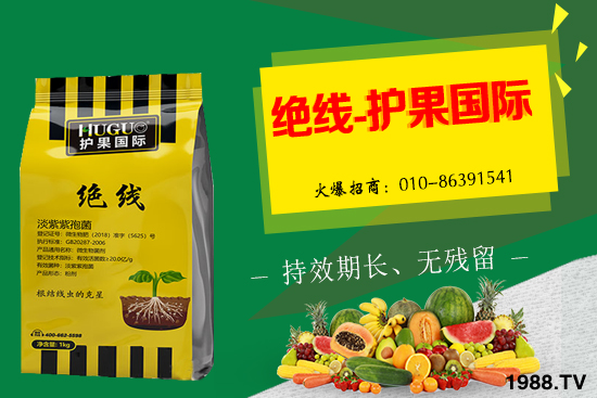 �޻���ʲôҪ�����������Щ��̎���޻�������g�������h��