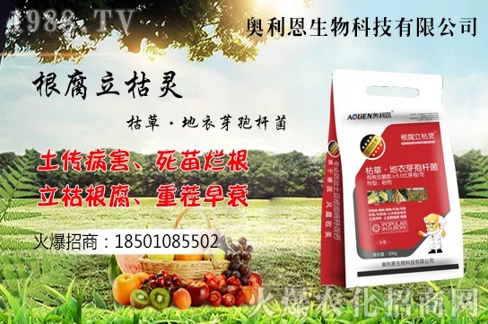 �S����ʲô����(ji��)�������S���˷Nֲ������B��