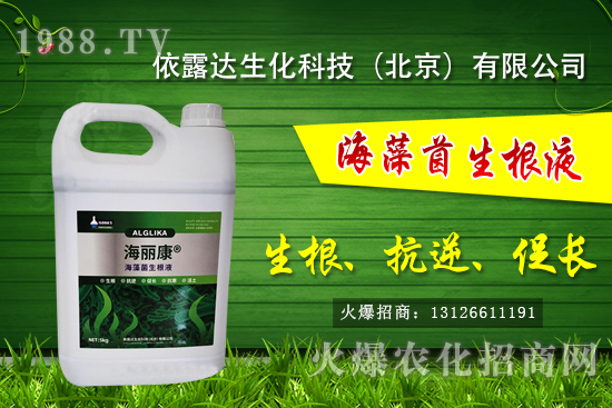 �J��������ЩƷ�N���J���Һ��殐����ʲô�^(q��)�e��