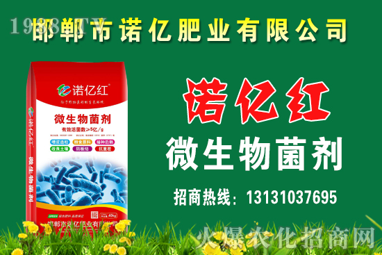 ������ʵķN�����Щ����������c��Щ���ϴ�nЧ������