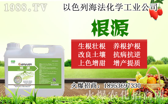 �o������ôǤ�����o����Ǥ��r(sh��)�g��Ǥ�己ֳ������