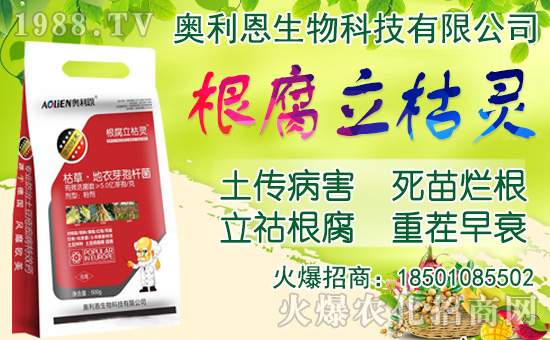 ���[���ʩ�������[�Nֲ���������N�r�g��