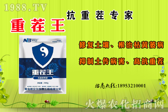 ɽ��ʲô����(ji��)������ɽ�����Ҫ�a(ch��n)���������ôʳ����