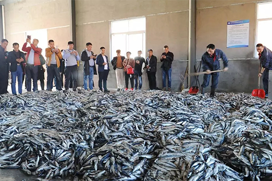 �~(y��)����ԭ��