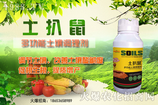 ������ʲô�r��Nֲ����������ô�x���Nֲ�����ô����