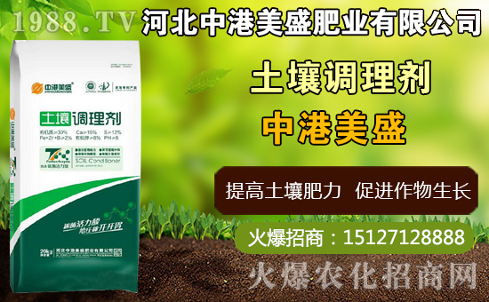 ��ˎ̫�Ӆ�ʲô�r(sh��)�g�Nֲ��̫�Ӆ�ʲô�r(sh��)���ի@���ã����Nֲ���g(sh��)��