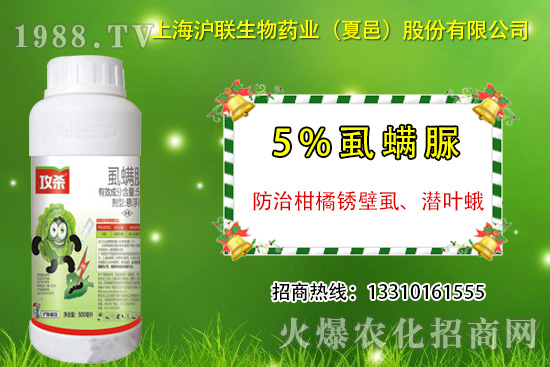 �����P��ʭ��ʲô�Y������ô�����������P��ʭ��ˎ���]