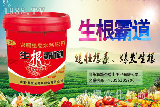 ������Nֲ����(ji��)��ʲô�r(sh��)�򣿻�����Nֲ��������Щ��