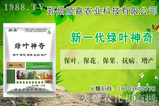 С���r���B�B�ϝq���F(xi��n)��һ������X��