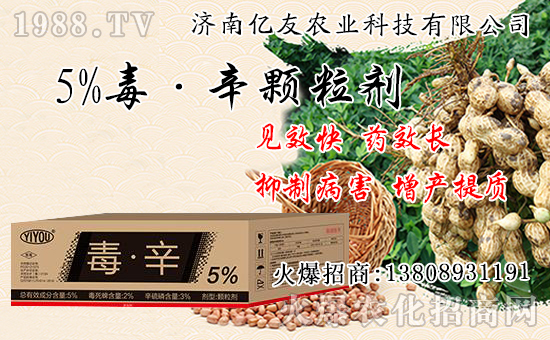 �������Ժʹ�����ʲô��ͬ���������԰˴��P(gu��n)�IҪ�c��