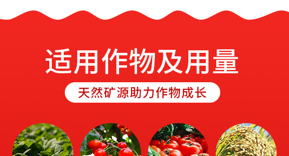 ����VԴ�S����⛡���-�~����-Ӣ����_08