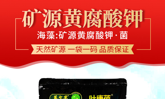 ����VԴ�S����⛡���-�~����-Ӣ����_01