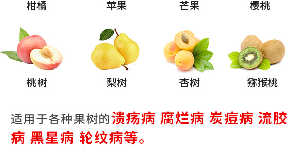 枯草芽孢桿菌-一包金-英爾果_09