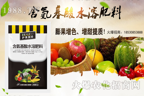 �|���m����ʲô����(ji��)�������|������M�зNֲ��