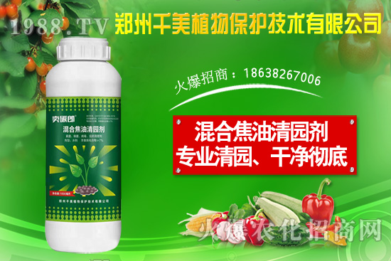 ���X�ݷN����ô�N�����X�ݷNֲ������B��