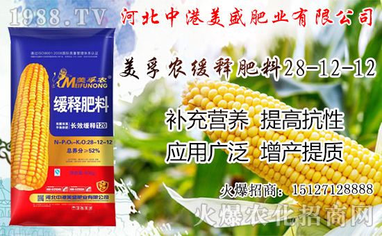 �O���������������ô�������O�������ڼ���ժ�������