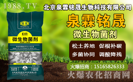 â��ʲô�r(sh��)�g�Nֲ��â���Nֲ��������ˮ�r(sh��)����