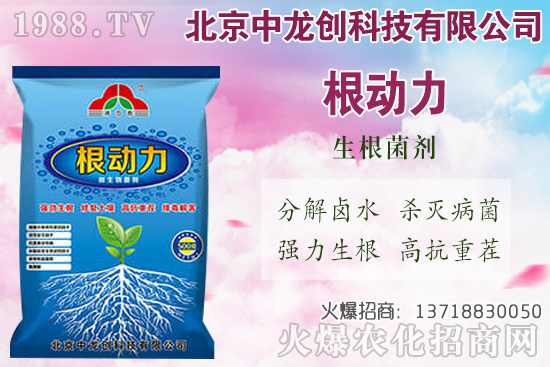 ���}���������������Щ�����}��ʩ�ʼ��g(sh��)Ҫ�c(di��n)��