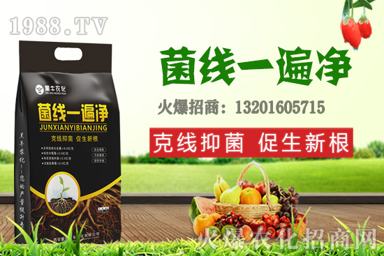 9��19��С���r(ji��)��������q�����F(xi��n)��