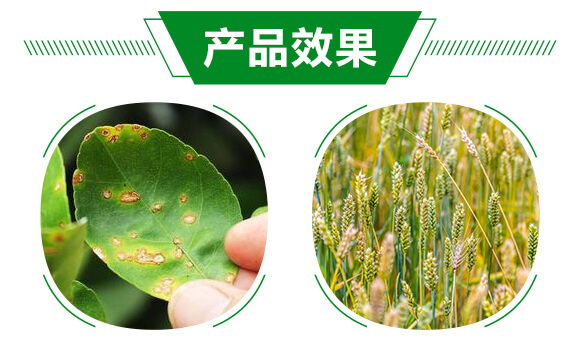 �׷�Ѭ��-�o��120-��ï�r�I(y��)_05