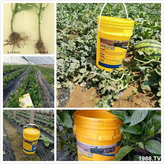 ˮ�ܷ��Ј���׃��������徫���~���׌��������棡1000���Ñ��������]��