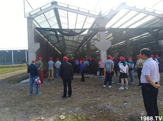 ˮ�ܷ��Ј���׃��������徫���~���׌�����������1000���Ñ��������]��